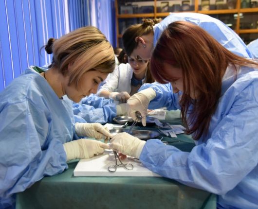 Basic Surgical Skills la cea de-a VII-a ediție